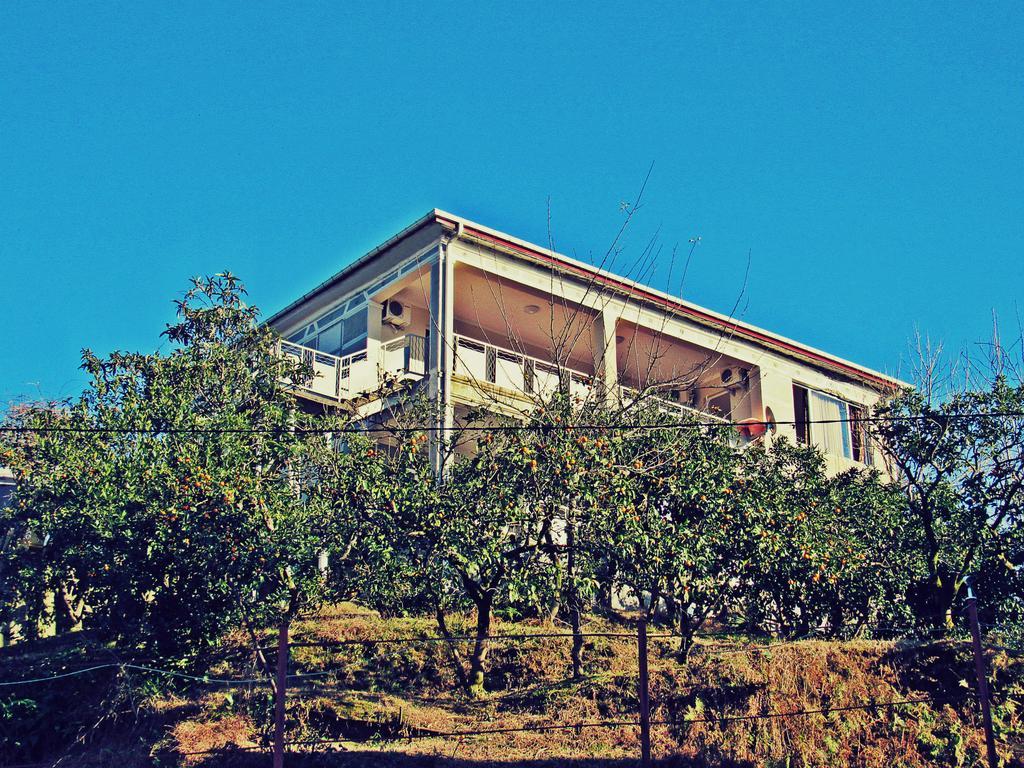 Apartments Sunset Paradise Makhindzsauri Kültér fotó