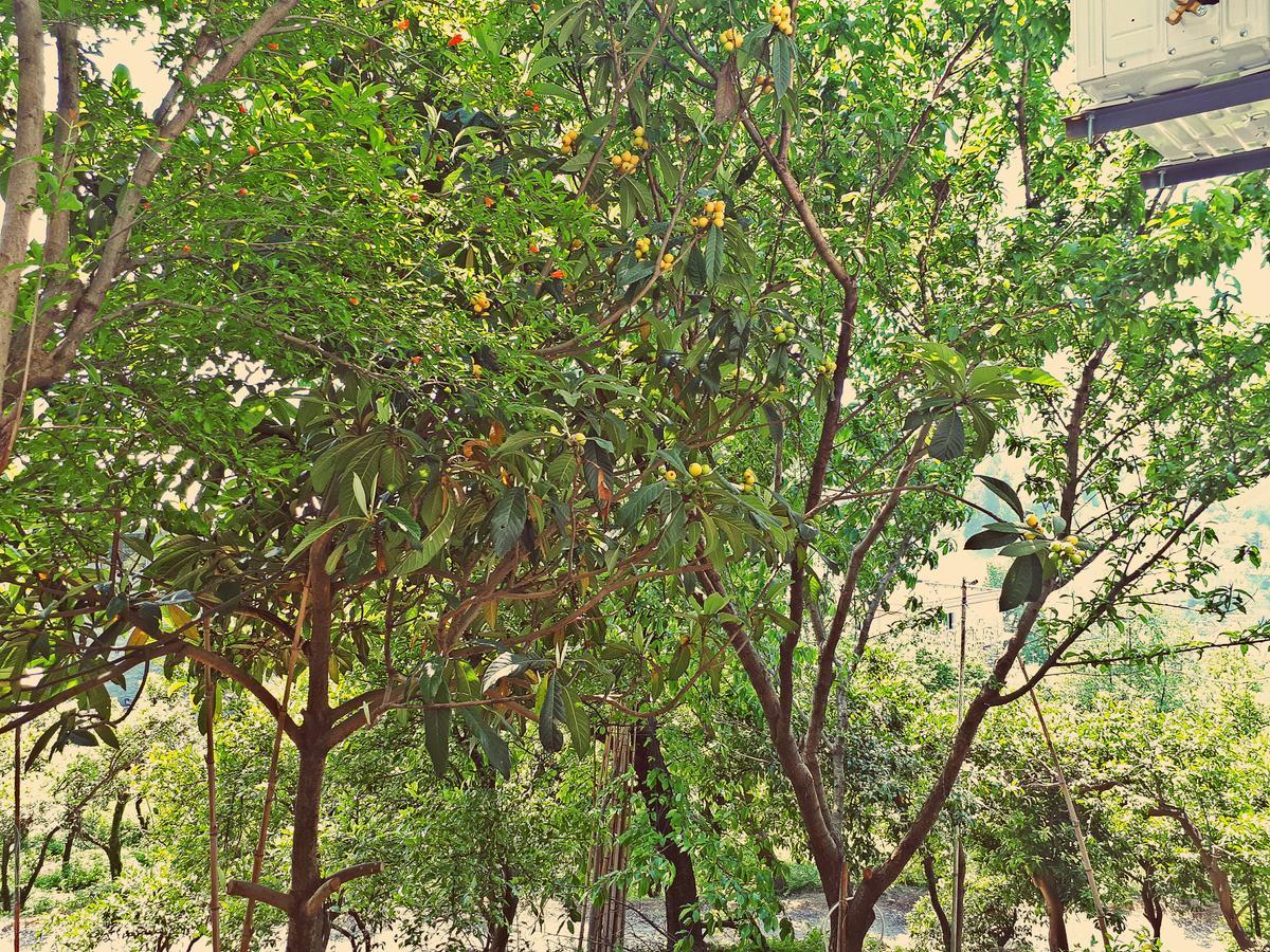 Apartments Sunset Paradise Makhindzsauri Kültér fotó